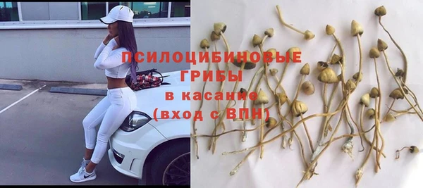 ECSTASY Абдулино