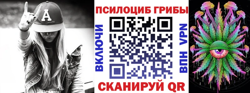 Псилоцибиновые грибы Psilocybe  цены   Котово 