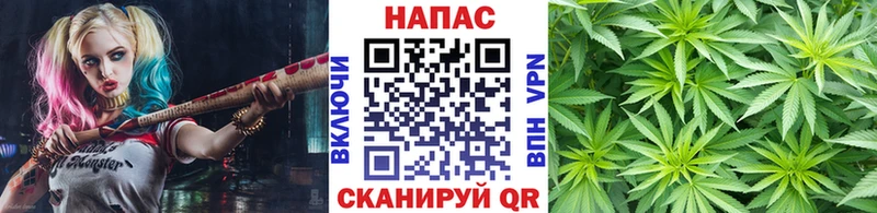Конопля White Widow Котово